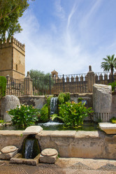 Similar image 1385530