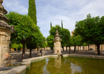 Similar image 1385532