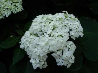 Similar image 1385542