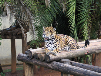 Similar image 1385564