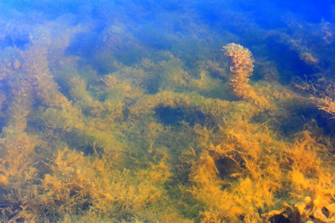 Similar image 1385573