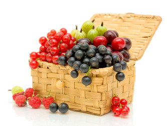 Similar image 1385577