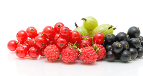 Similar image 1385578