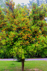 Similar image 1385588