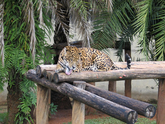 Similar image 1385609