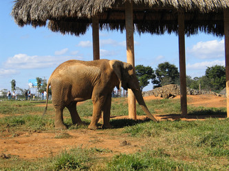 Similar image 1385612