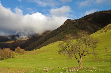 Similar image 1385619