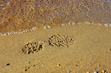 Similar image 1385621