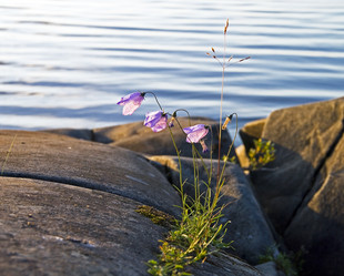 Similar image 1385623