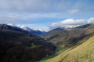 Similar image 1385624