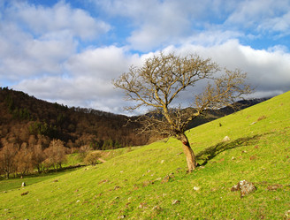 Similar image 1385625