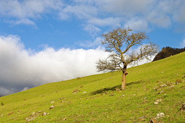 Similar image 1385626