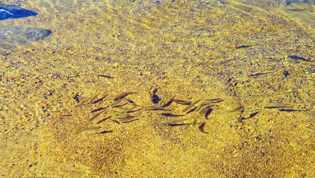 Similar image 1385636