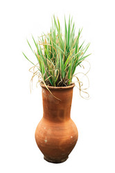 Similar image 1385646