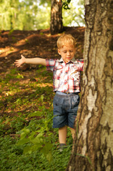 Similar image 1385695