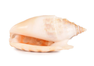 Similar image 1385833