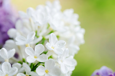 Similar image 1385903