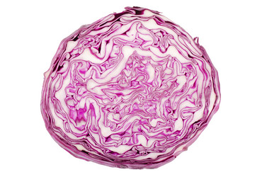 Similar image 1385954