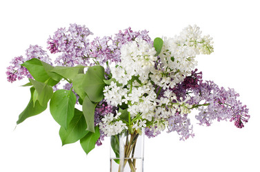 Similar image 1386012