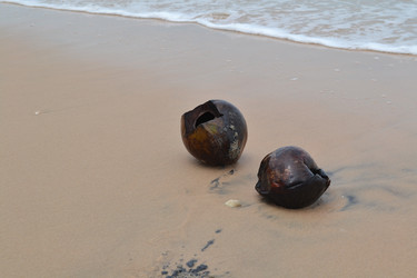 Similar image 1386024