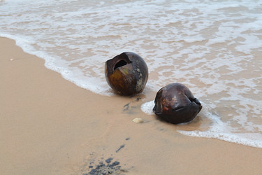 Similar image 1386025