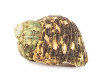 Similar image 1386045