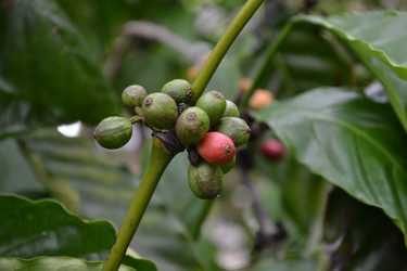 Similar image 1386051