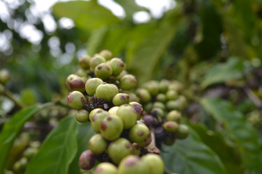 Similar image 1386067