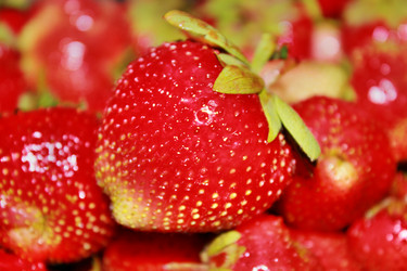 Similar image 1386194