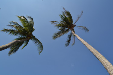 Similar image 1386241