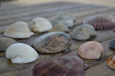 Similar image 1386244