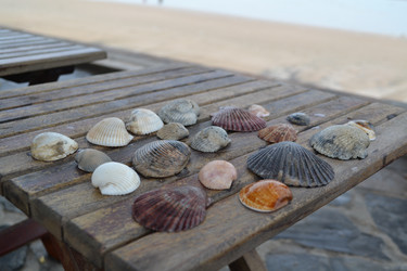 Similar image 1386245