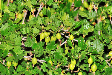 Similar image 1386248