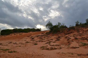 Similar image 1386276