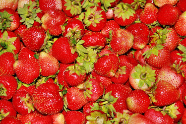 Similar image 1386287