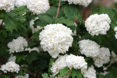 Similar image 1386290