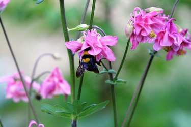 Similar image 1386292