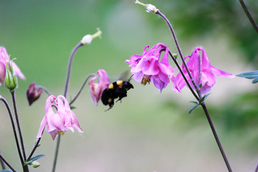 Similar image 1386293