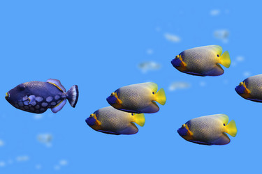 Similar image 1386331