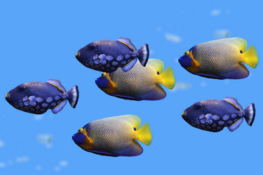 Similar image 1386332