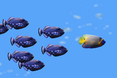 Similar image 1386333