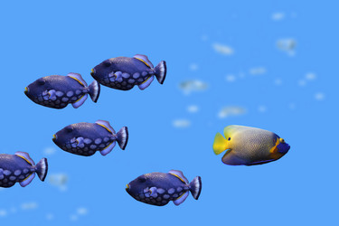 Similar image 1386334