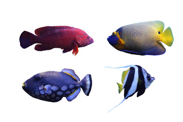 Similar image 1386335