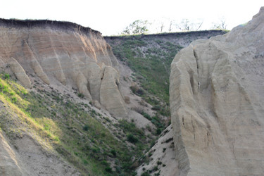 Similar image 1386372