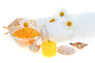 Similar image 1386407