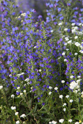 Similar image 1386412