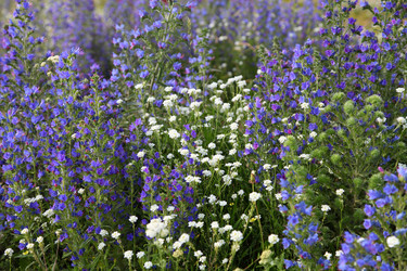 Similar image 1386413