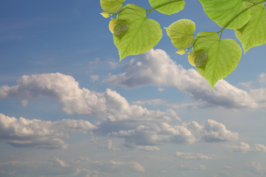 Similar image 1386416