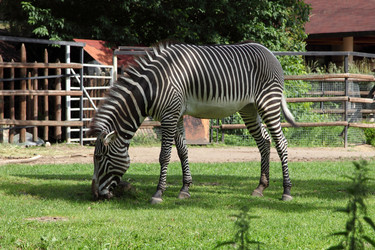 Similar image 1386419