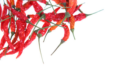 Similar image 1386436